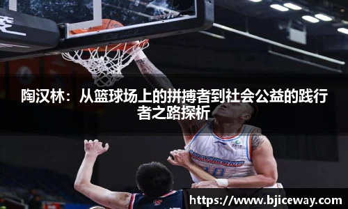 陶汉林：从篮球场上的拼搏者到社会公益的践行者之路探析