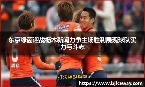 德赢官方
